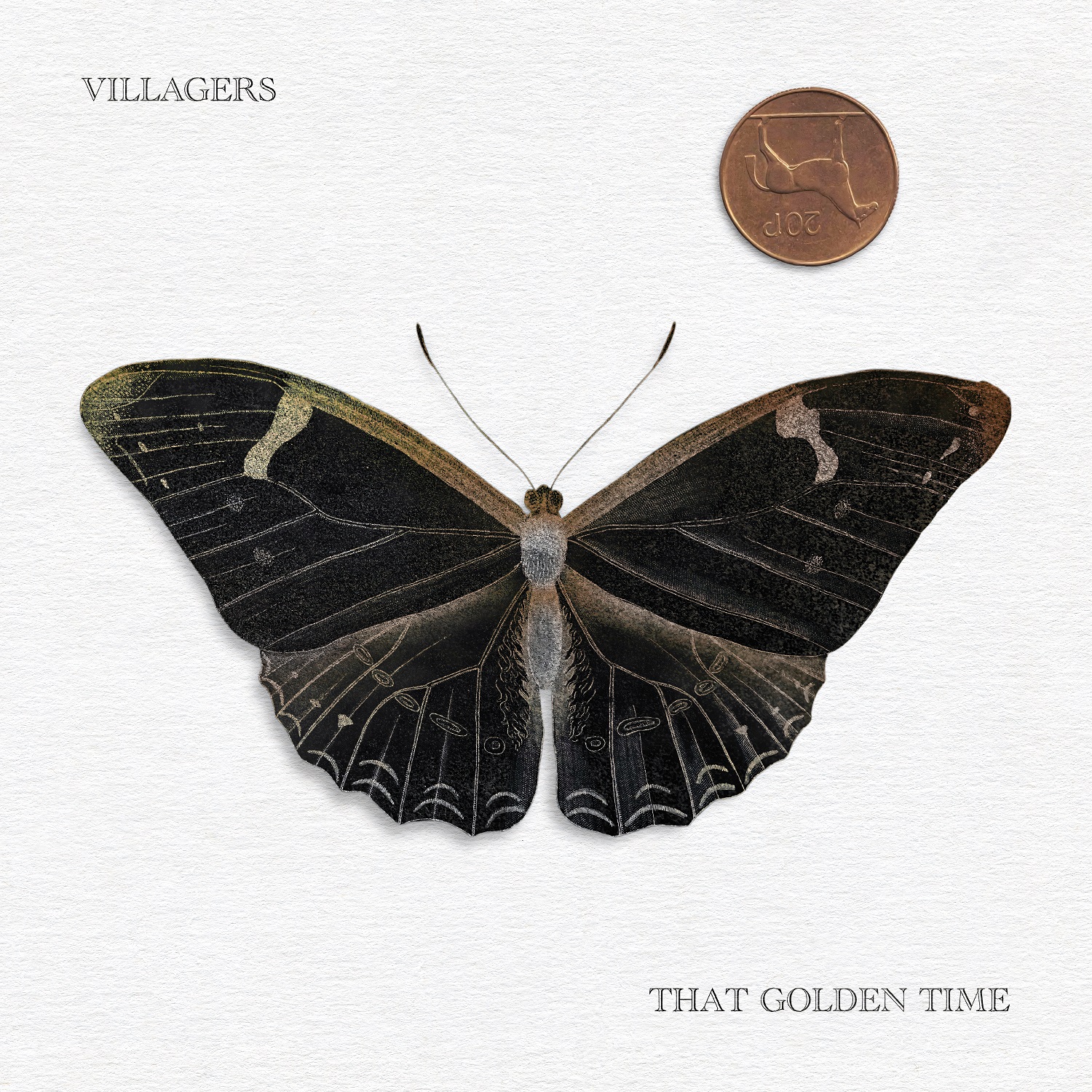 Villagers announce the release of new album That Golden Time | Hotpress